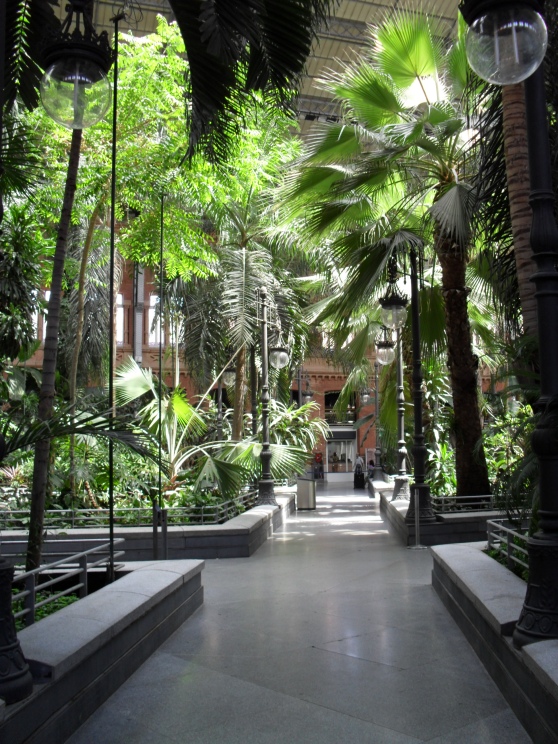 Atocha, giardino tropicale (3)